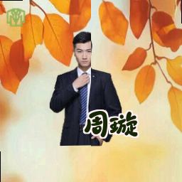周璇